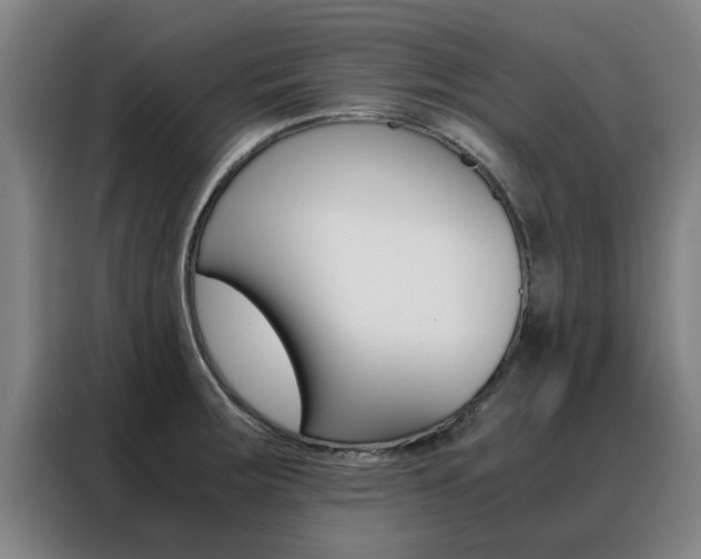 X0000088441283200705220907