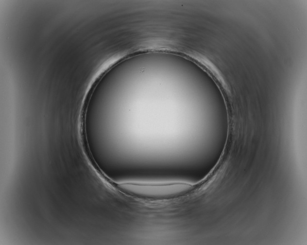 X0000088441285200705220907