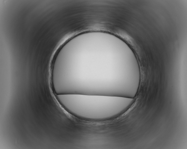 X0000088441286200705220907