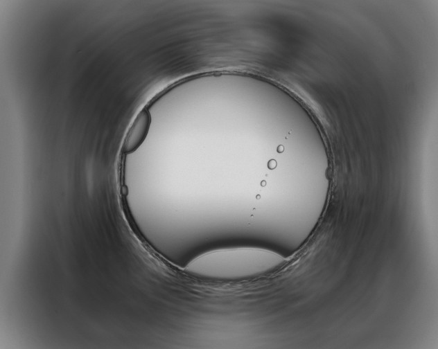 X0000088441291200705220907