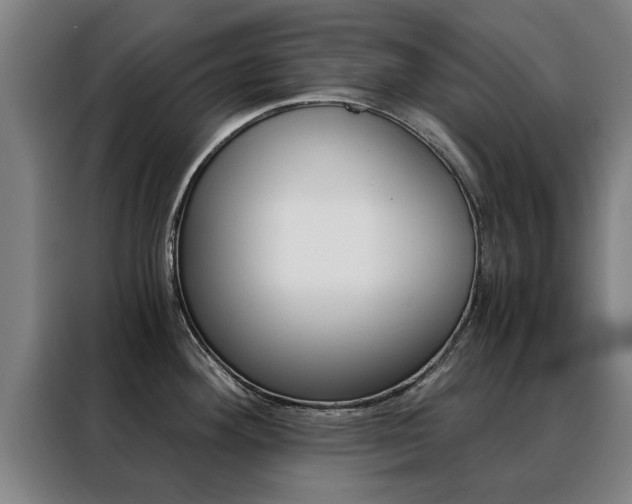 X0000088441292200705220907