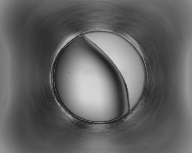 X0000088441293200705220907