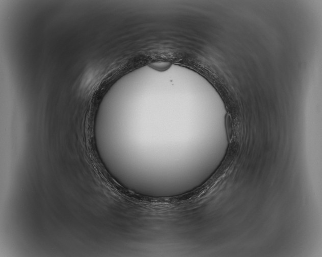 X0000088441297200705220906