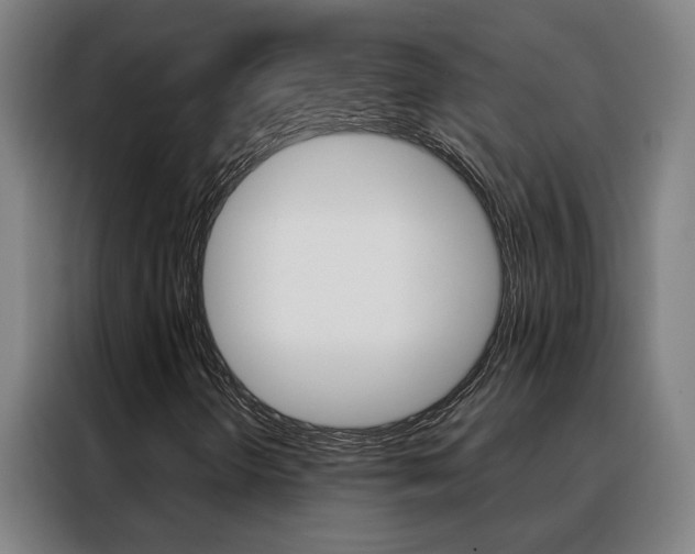 X0000088441298200705220906