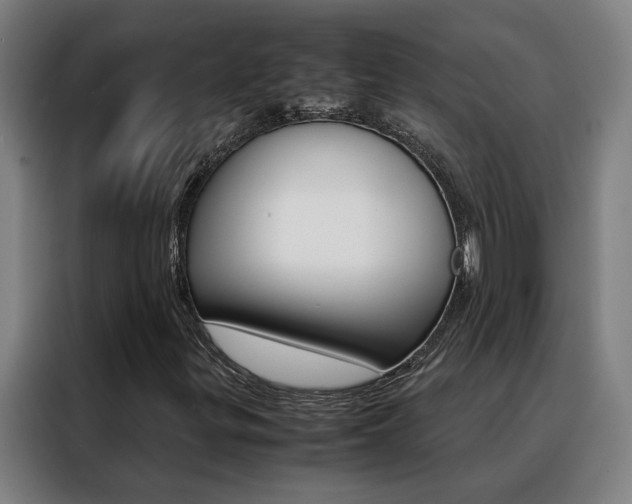 X0000088441299200705220906