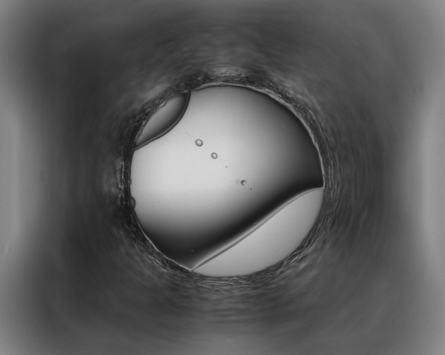 X0000088441301200705220906