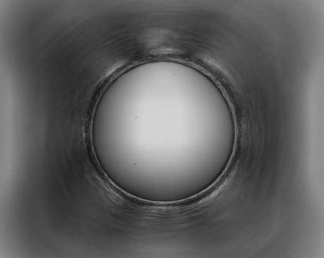 X0000088441305200705220906