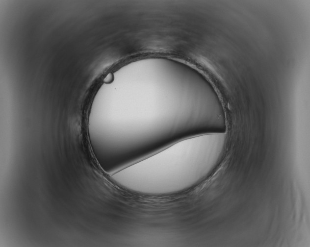 X0000088441307200705220906