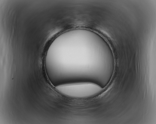 X0000088441309200705220906