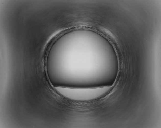 X0000088441310200705220906
