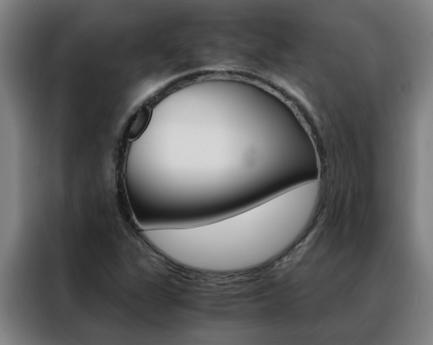 X0000088441311200705220906