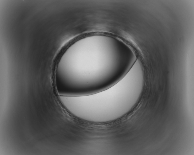 X0000088441312200705220906