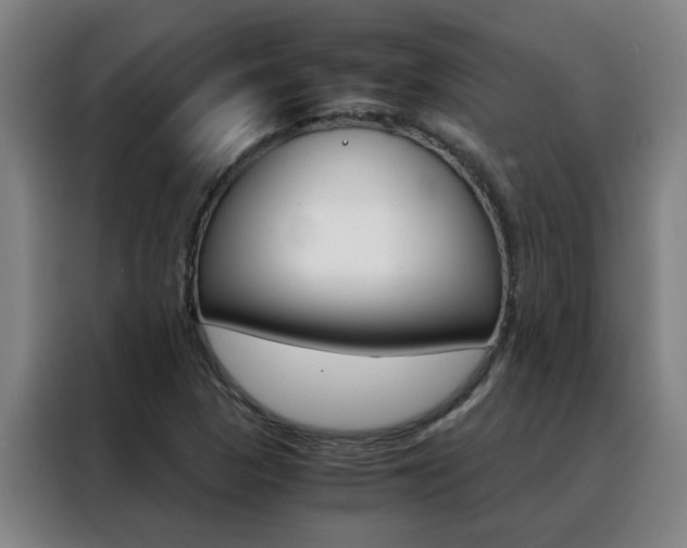 X0000088441313200705220906