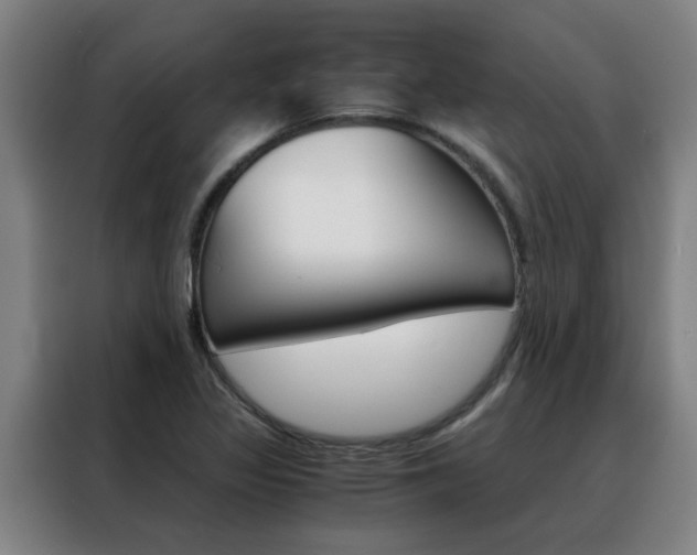 X0000088441317200705220906