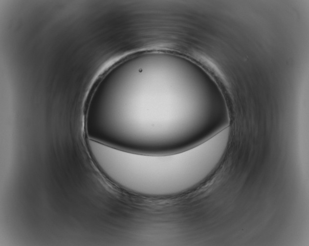X0000088441324200705220907