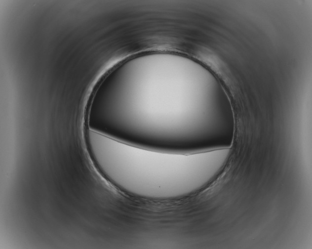 X0000088441331200705220907