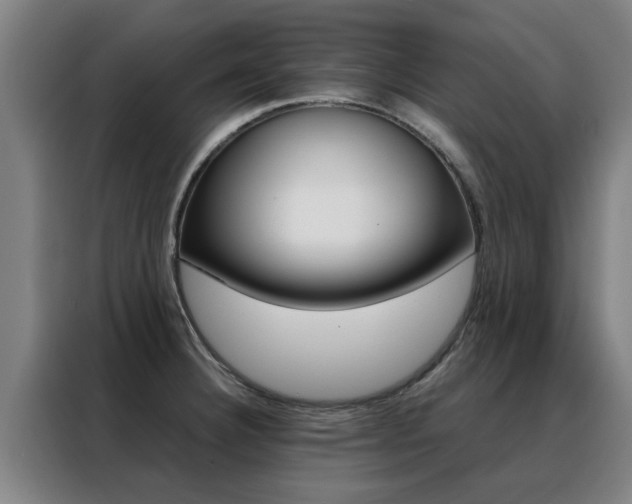 X0000088441332200705220907