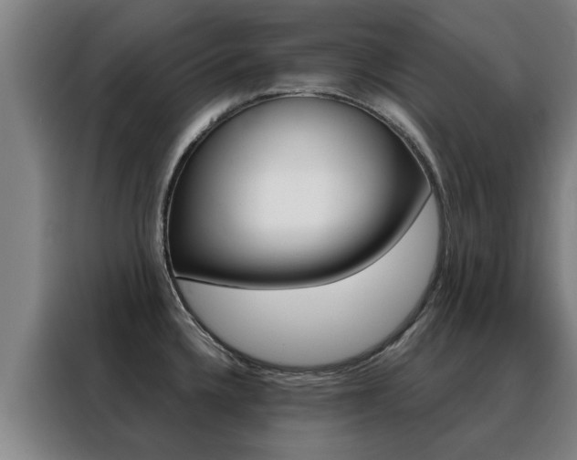 X0000088441336200705220907