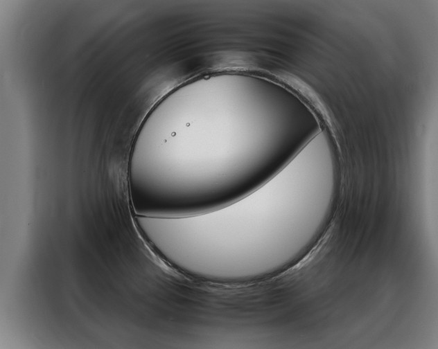 X0000088441337200705220907