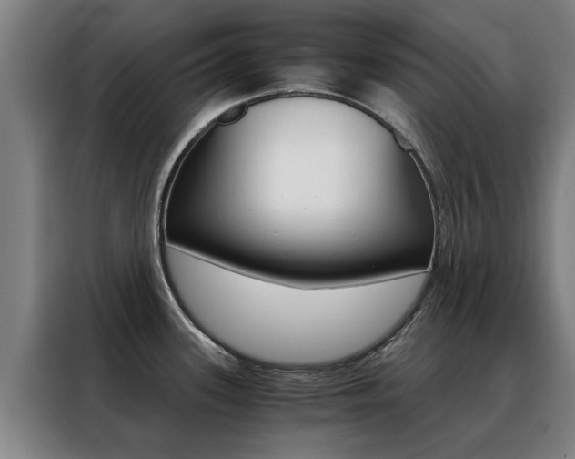 X0000088441339200705220907