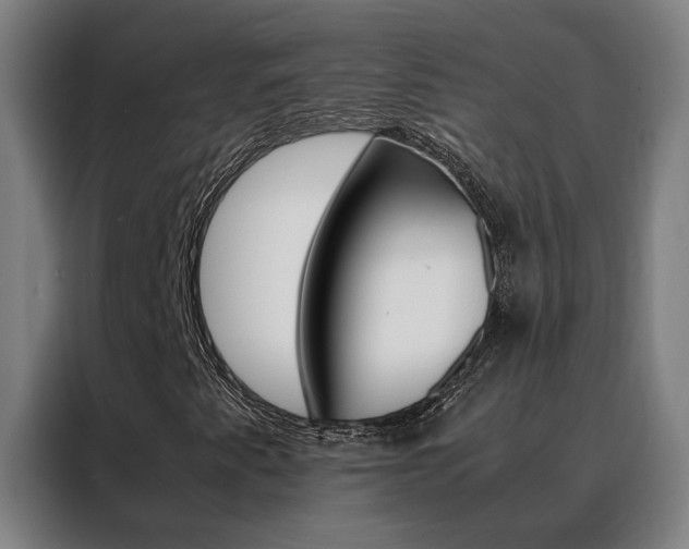 X0000088441345200705220906