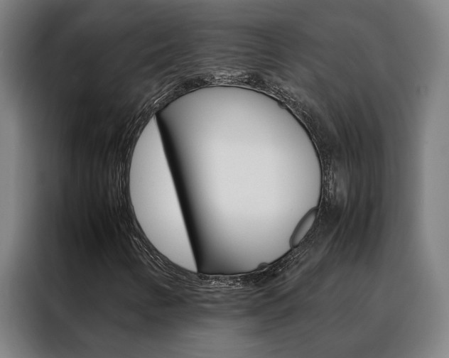 X0000088441346200705220906