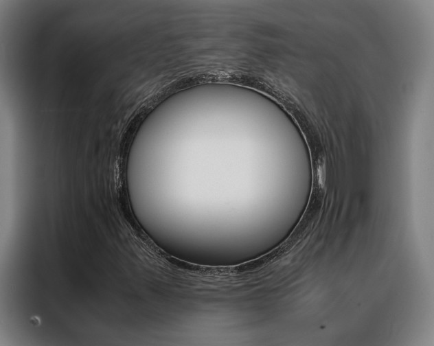 X0000088441347200705220906