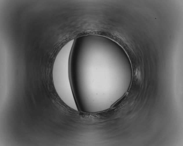 X0000088441348200705220906
