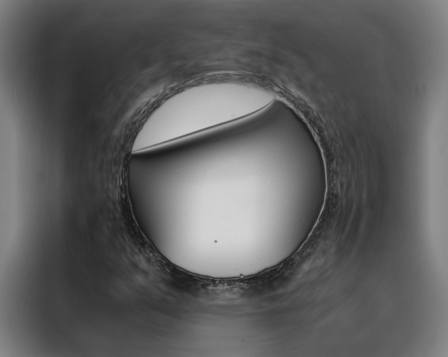 X0000088441351200705220906