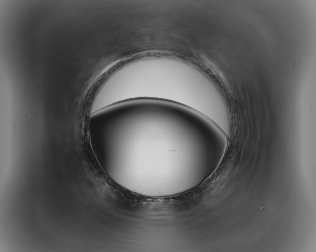 X0000088441352200705220906