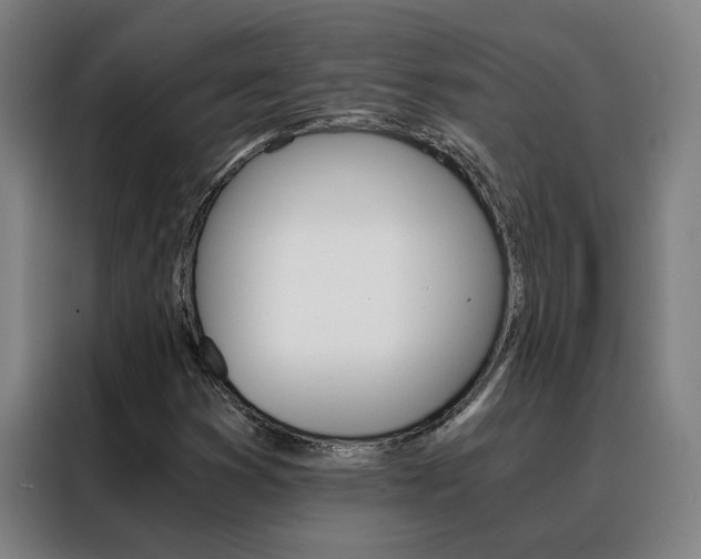 X0000088441353200705220906