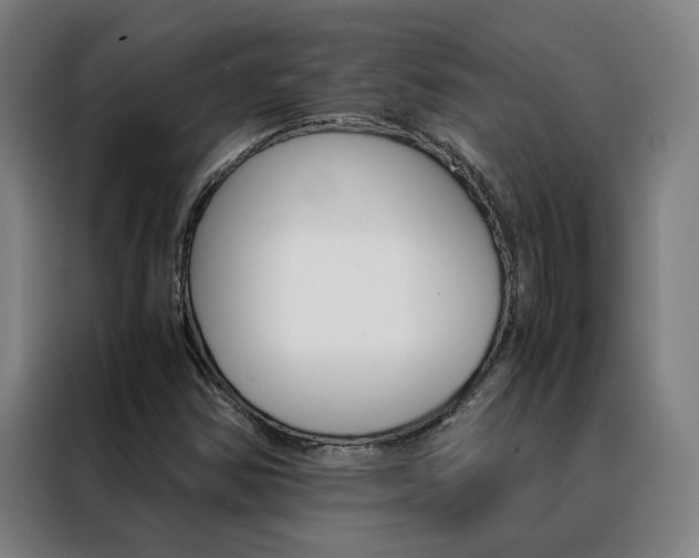 X0000088441354200705220906
