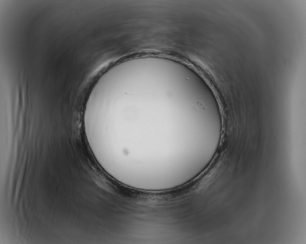 X0000088441355200705220906