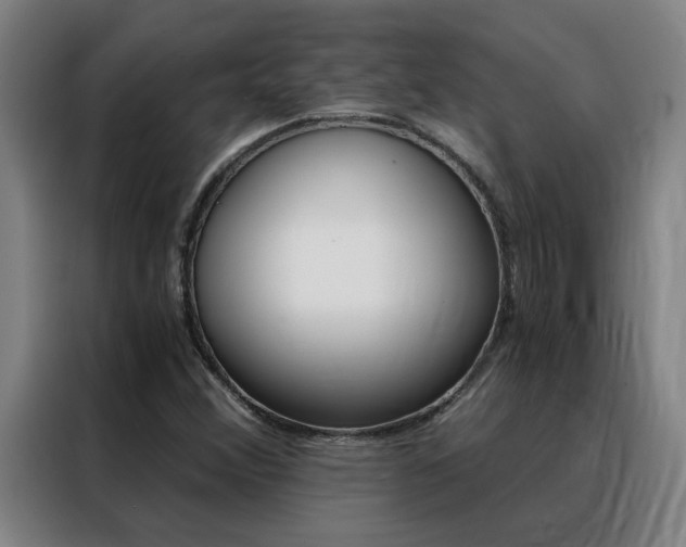 X0000088441356200705220906