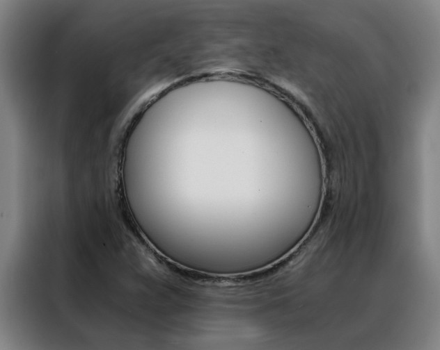 X0000088441359200705220906