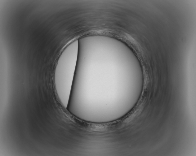 X0000088441361200705220906
