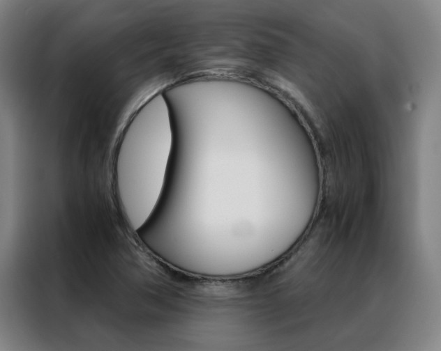 X0000088441362200705220906