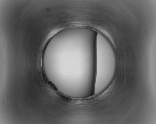 X0000088441365200705220906