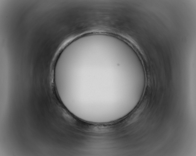 X0000088441366200705220906