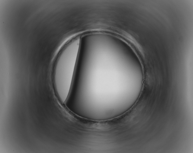 X0000088441368200705220906