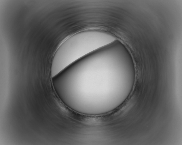X0000088441369200705220906