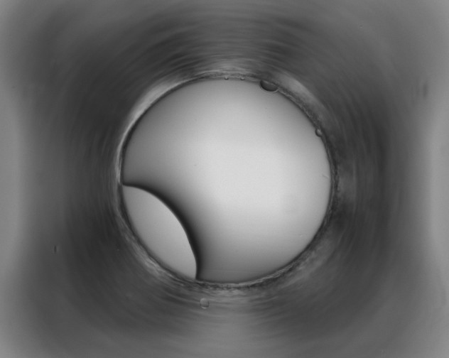 X0000088441370200705220906