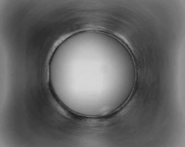 X0000088441371200705220906