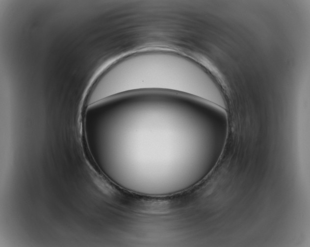 X0000088441372200705220906
