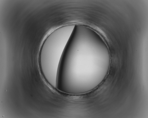 X0000088441373200705220906