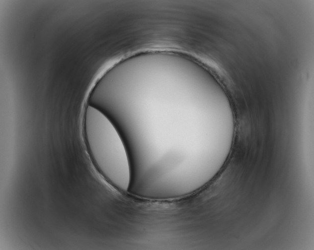X0000088441374200705220906