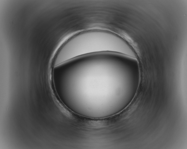 X0000088441376200705220906