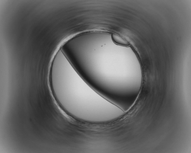 X0000088441379200705220906