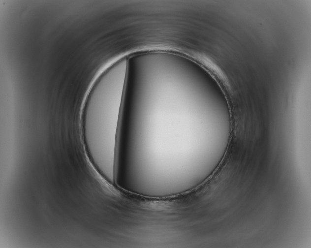 X0000088441380200705220906