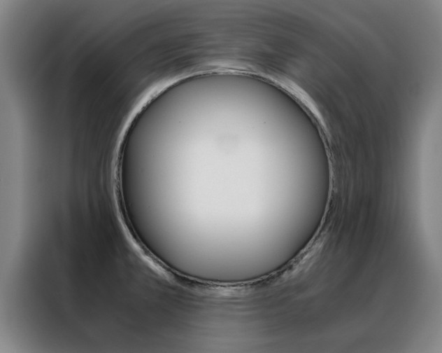 X0000088441381200705220906